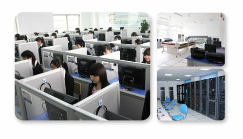 計算機軟硬件視角下的學科分野 計算機科學與技術、軟件工程、網絡工程