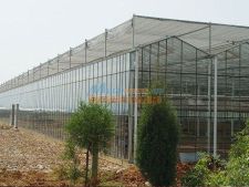 溫室大棚建造指南 濰坊與濟(jì)南連棟溫室及專業(yè)建造公司選擇