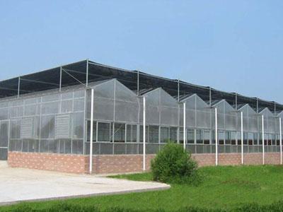 溫室大棚薄膜 價(jià)格分級(jí)的背后，是用戶需求的精準(zhǔn)匹配